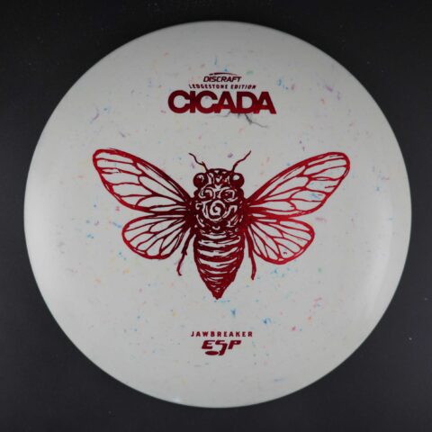 Cicada