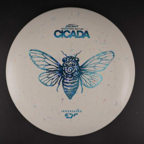 Cicada