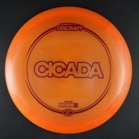 Cicada